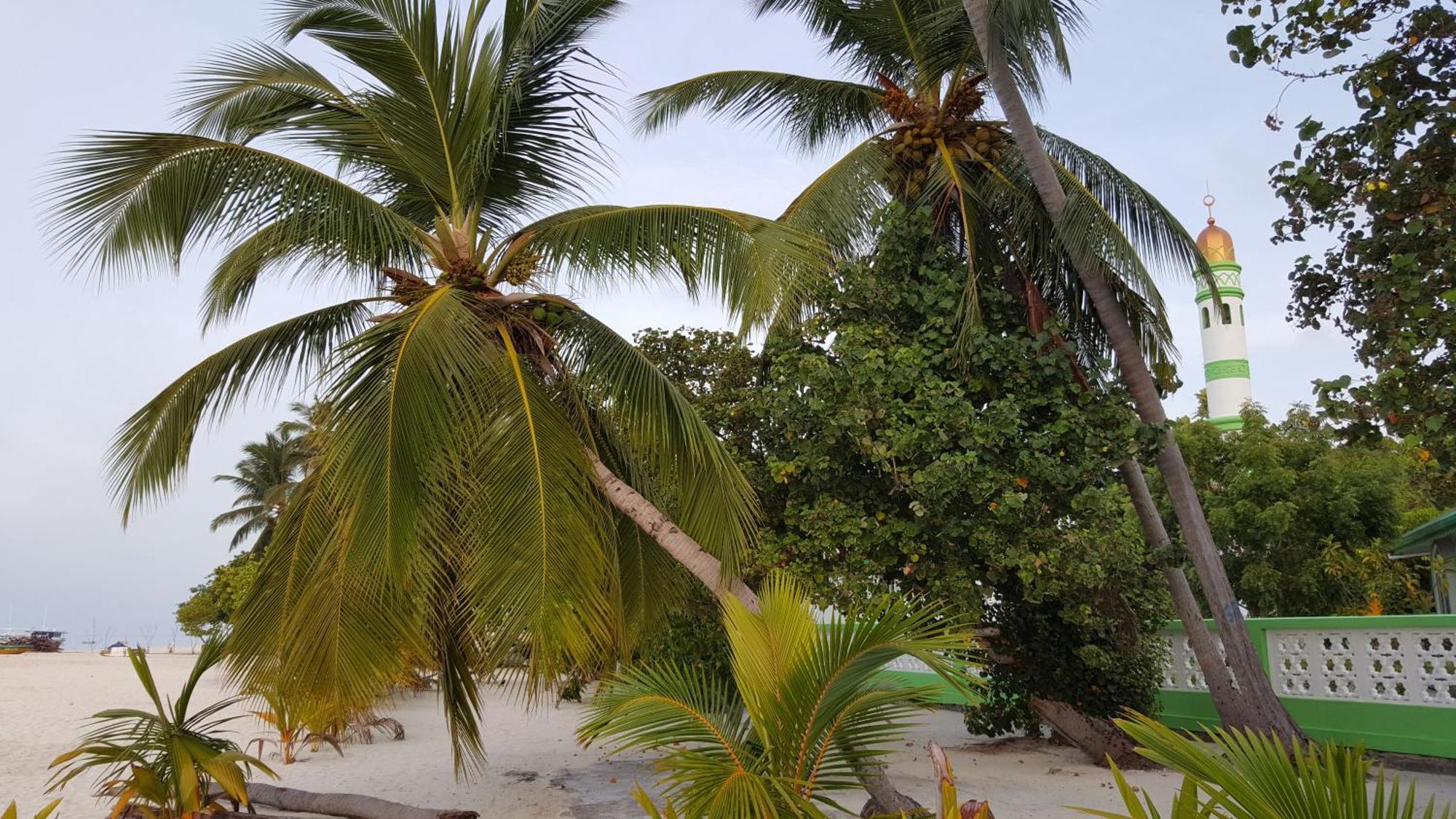 Pensiune Kinan Retreat 3*
